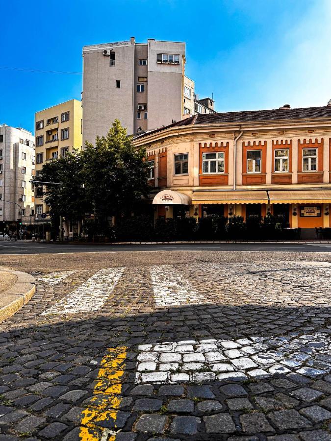 Insta-Apt Old Town Central Park Renovated Bělehrad Exteriér fotografie